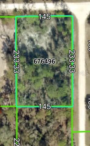 LOT 4 Florida Wren Ave, Weeki Wachee, FL 34614