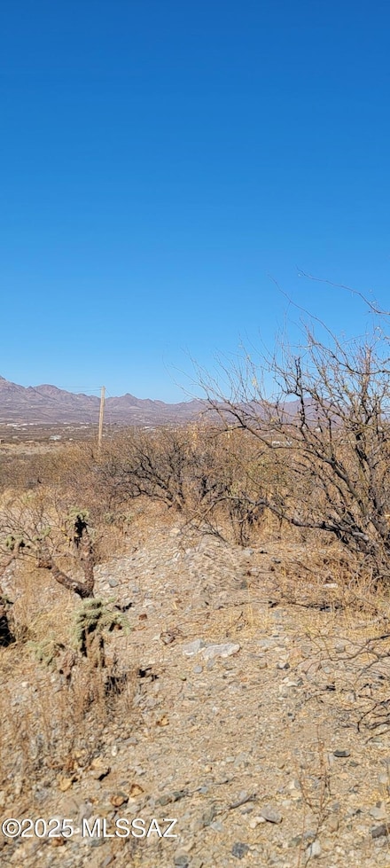 1742 Ruta Caravela Unit 10, Rio Rico, AZ 85648