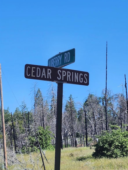42112 Cedar Springs Rd, Auberry, CA 93602