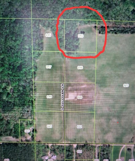 Lot 16 S Sullivan Ln, Croton, MI 49337