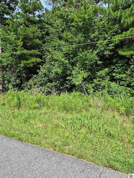 274 Hawkeye Rd, Gilbertsville, KY 42044