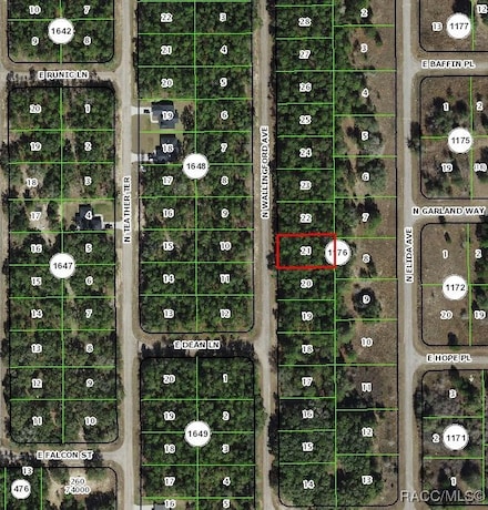 8633 N Wallingford Ave, Citrus Springs, FL 34434