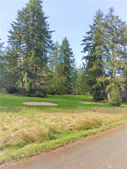 10415 Edgewood Dr, Anderson Island, WA 98303