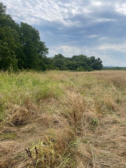 0 Lot 62 Riverside Estates Ph IV Unit 1312195, Goshen, AR 72701