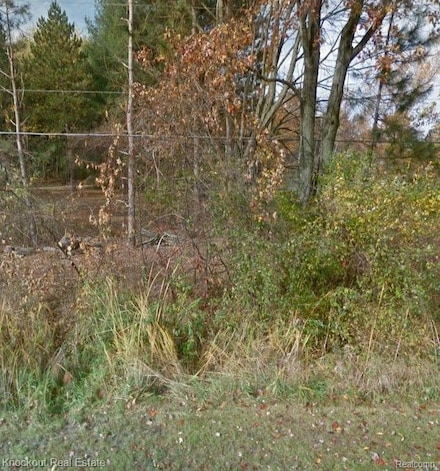 VL S Gleaner Rd, Swan Creek Township, MI