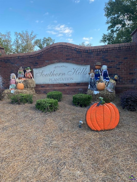 A 32 Crabapple Dr, Hawkinsville, GA 31036