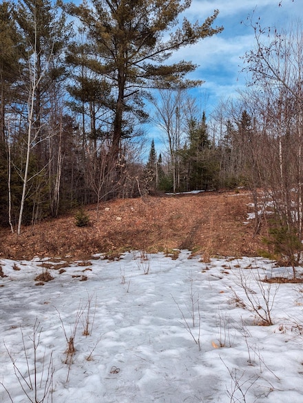 Lot 62-5 Glades View Ave, Newry, ME 04261