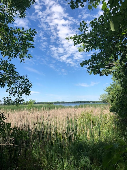 xx 388th St, South Harbor Township, MN 56359