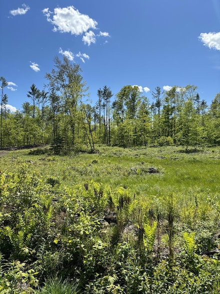 21 Turkey Ln, Livermore, ME 04253