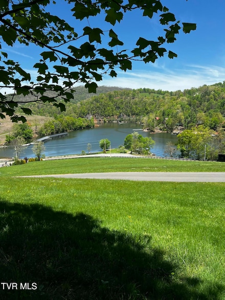 Lot 8 Cowan Town Rd, Butler, TN 37640