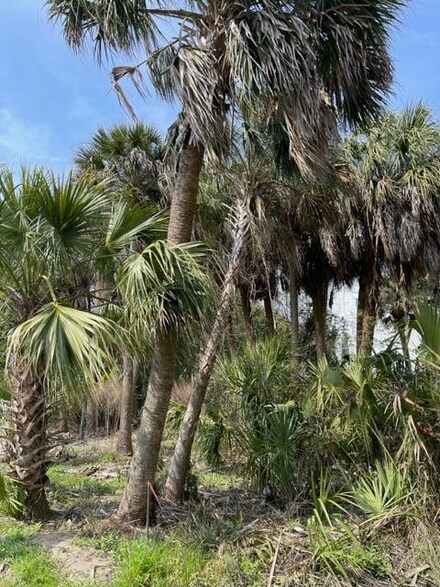 3212 Myrtle St, Edisto Beach, SC 29438