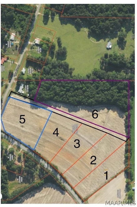 00 Alabama 125 Unit LOT 2, Brundidge, AL 36010