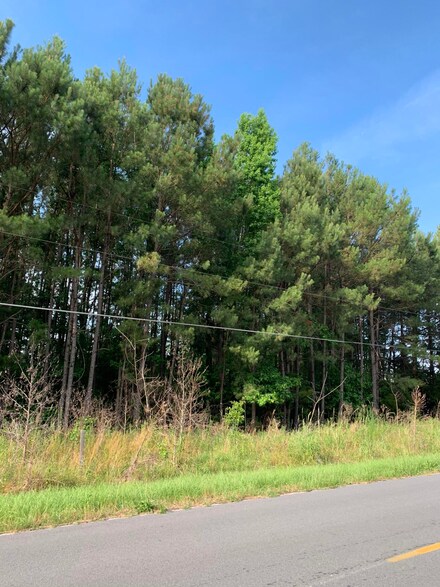 1076 Unity Rd, Saint Stephen, SC 29479