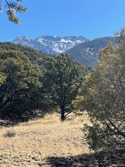 1718 Willow Creek Way, Crestone, CO 81131