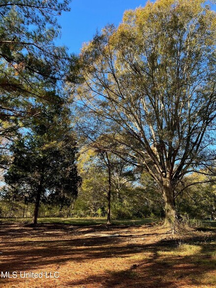 4701 Mississippi 22, Flora, MS 39071