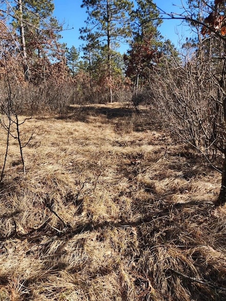 Lot 3 Tower Rd, Wisconsin Rapids, WI 54494