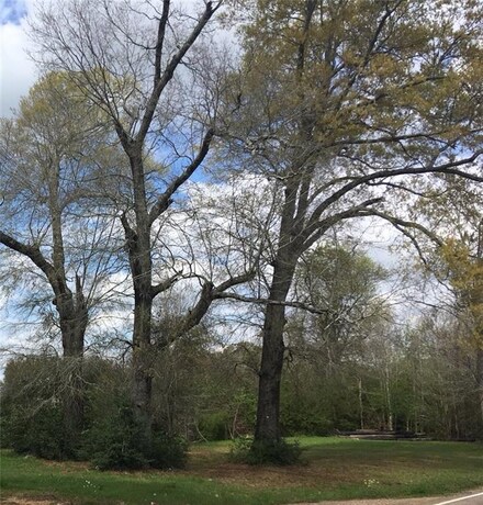 19476 Highway 442, Loranger, LA 70446