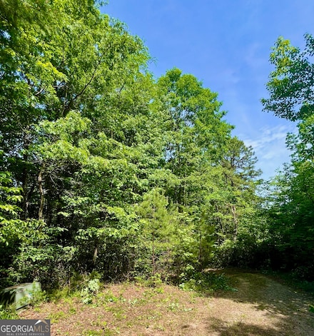 0 Bluff Mountain Unit 10529106, Dillard, GA 30537