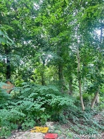 Lot 39 Lincoln Ave, Selden, NY 11784