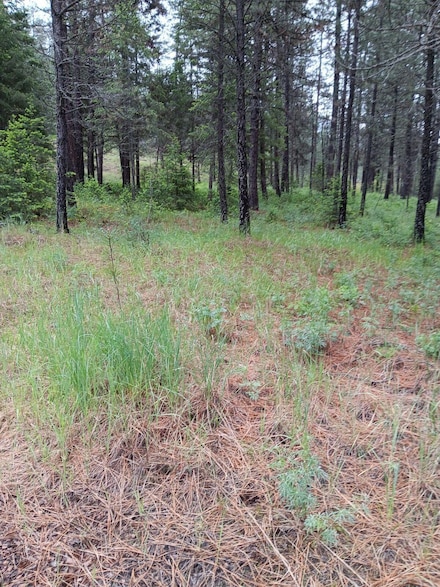 TBD Sand Creek Rd, Kettle Falls, WA 99141
