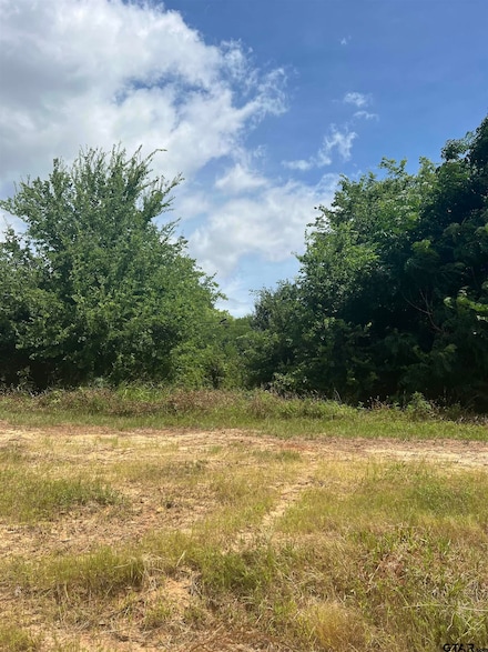 000 State Highway 64, Ben Wheeler, TX 75754