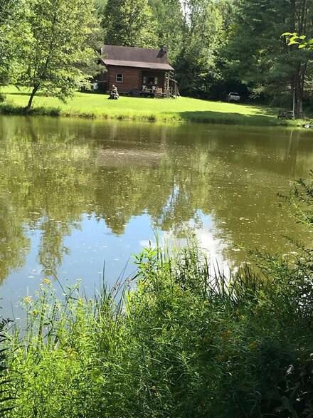 339 Stephens Rd, Little Meadows, PA 18830