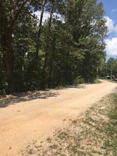 Lot 30 Timber Ridge Rd, Mammoth Spring Township, AR 72554
