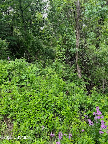 LOT Penns Creek Rd, Mifflinburg, PA 17844