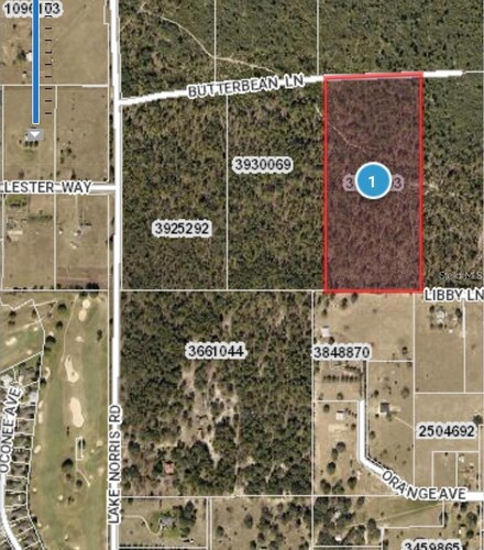 25233 Butterbean Ln, Eustis, FL 32736