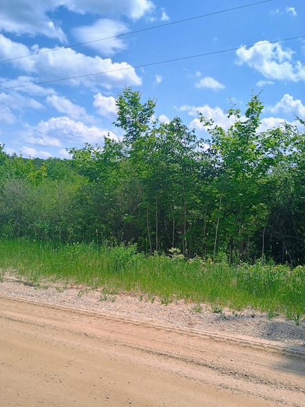 000 Pontius Rd SE, Orange Township, MI 49646