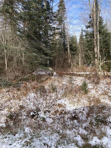 45xx W North Clover Rd, Draper, WI 54896