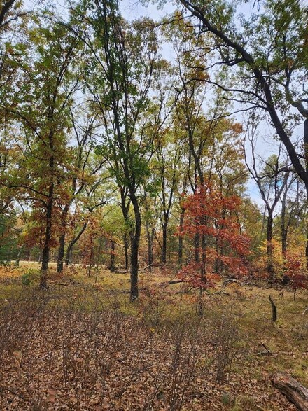 Lot 24 N Duck Creek Ct, Adams, WI 53910