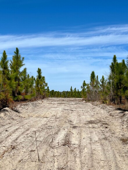 1004 Field Trial Rd, Camden, SC 29020