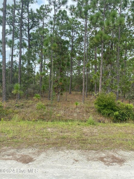 Lot 6 Monroe Rd, Boiling Spring Lakes, NC 28461