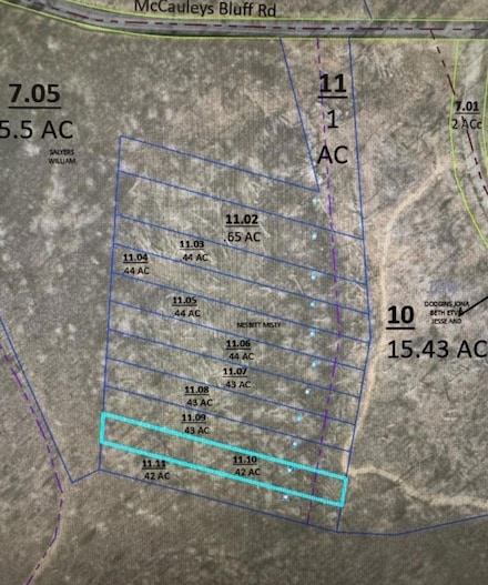000 McCauleys Bluff Rd, Holladay, TN 38341