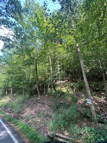 3051 Couchtown Dr, Busy, KY 41723