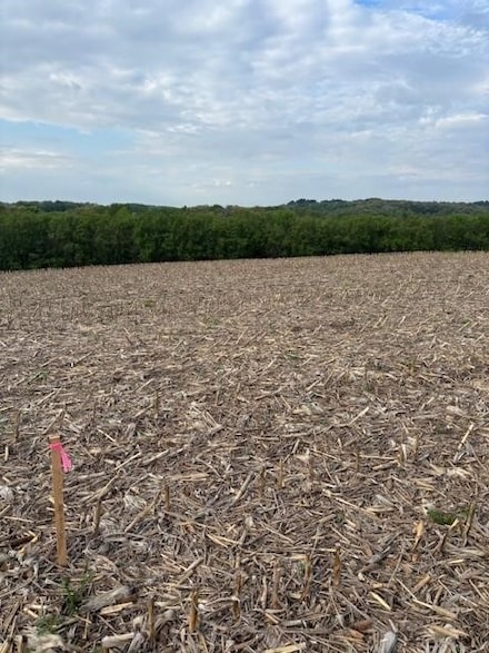 Lot 53 Roma St, Eau Claire, WI 54701