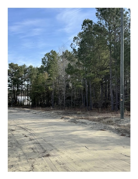 TBD Thompson Rd Unit Lot 24-26, Nichols, SC 29581