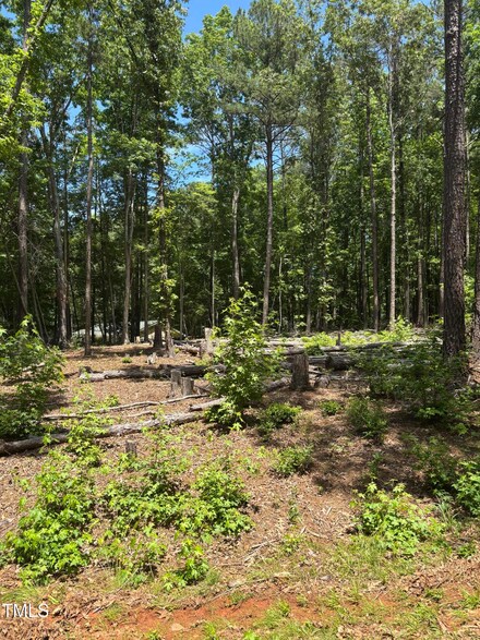 103 Fort Dr, Cypress Creek, NC 27549