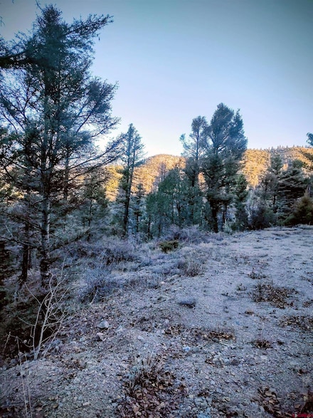 LOT 5701 Dettman Rd, Fort  Garland, CO 81133