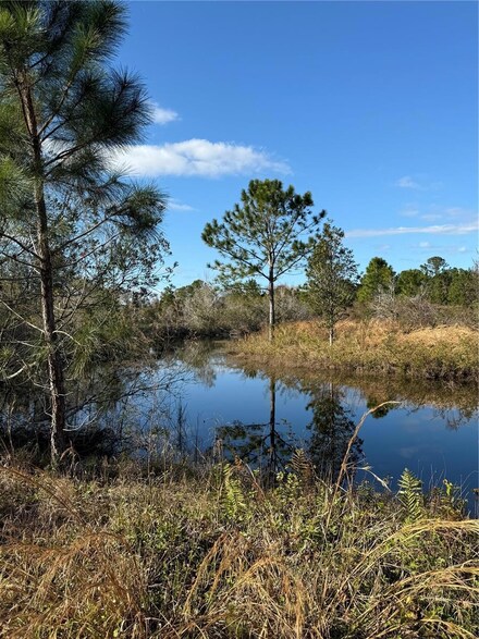 1686 Oak View Farms Rd, Osteen, FL 32764