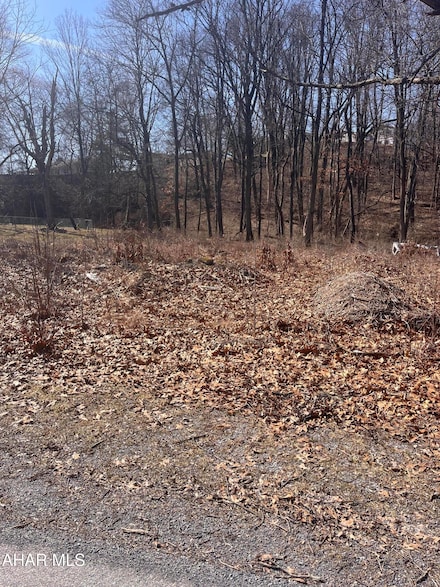 - Sycamore St, Altoona, PA 16602
