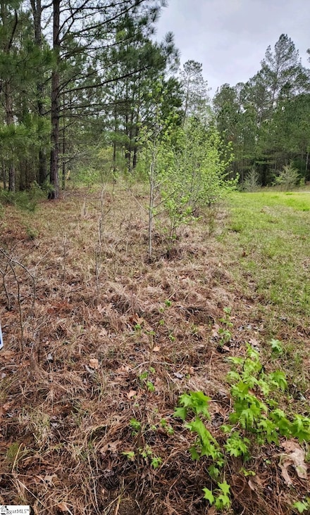 314 Watersedge Dr, Cross Hill, SC 29332