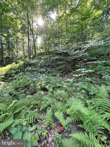 1 Laurel Ridge Ln, Wilmington, DE 19807