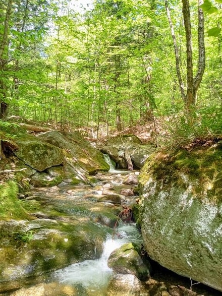 2401 Long Falls Dam Rd, New Portland, ME 04961