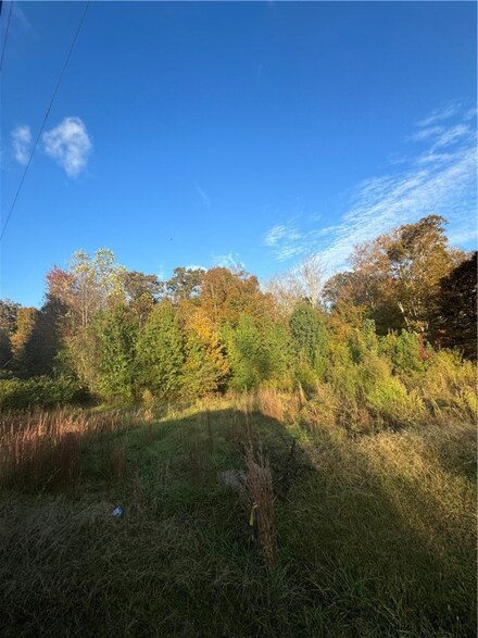 1551 Pace Bridge Rd, Easley, SC 29640