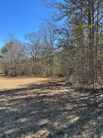 10 Lee Rd, Salem, AL 36874