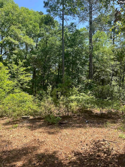 416 Otis Rd, Pelion, SC 29123