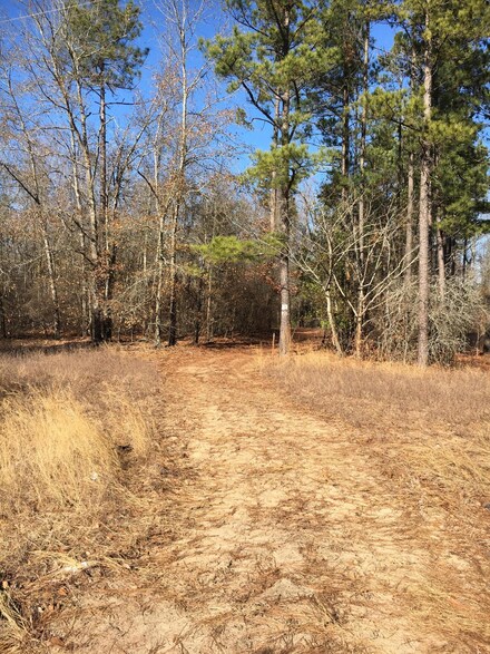 2175 Edisto Church Rd, Williston, SC 29853