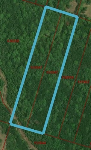 TBD Cr 200, Alvin, TX 77511